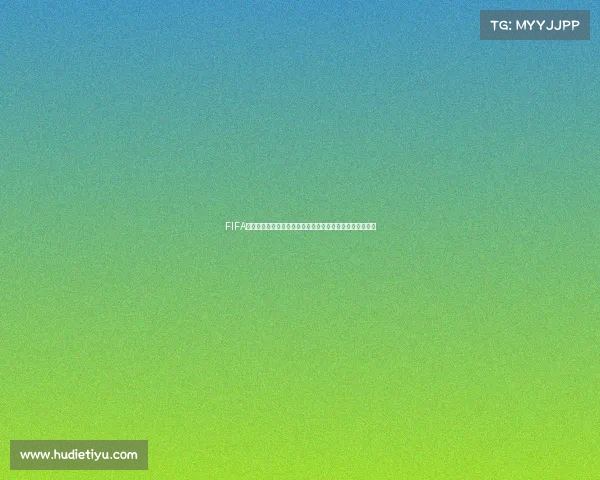 FIFA与世界杯的关系解析及全球足球赛事体系深度解读全景观察